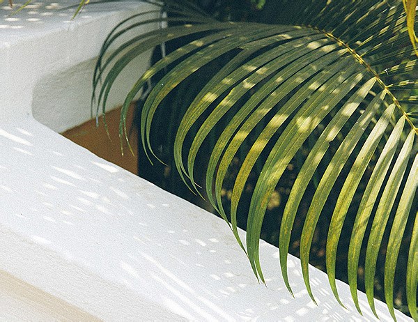 悬浮城市 / David Moreno