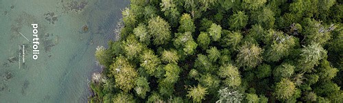 观念和形态的统一