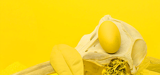 规范与原型测试-全包网解决方案