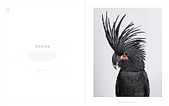 広告宣伝パート時代クル